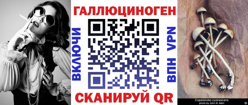 Псилоцибиновые грибы Cubensis  где найти   Володарск 